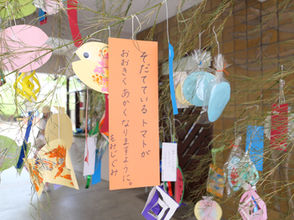 夏至　もうすぐ七夕