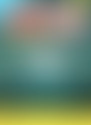 Open Source For You : Nov 2025, Vol - 14, Issue - 01