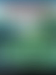 Electrical India: Nov 2025, Vol - 65, Issue - 11