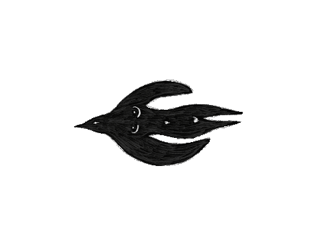 鳥人間.gif
