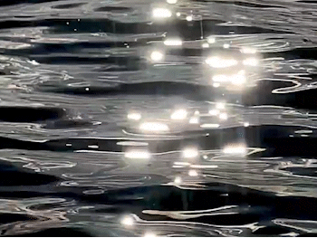perspective2.gif