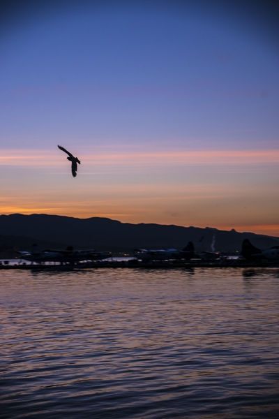 20130425-_DSC1055_R.jpg