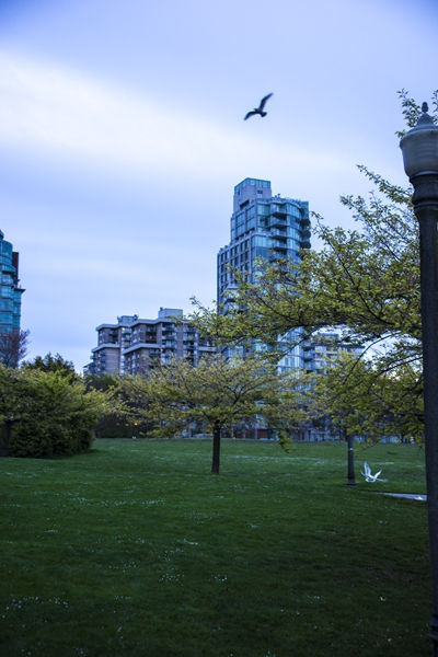 20130423-_DSC0867_R.jpg
