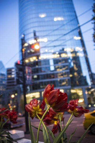 20130422-_DSC0717_R.jpg