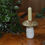 Thumbnail: Mushroom Candlestick Holder I