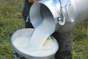 15leche_.jpg