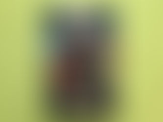 Miles Morales Spider Man