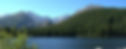 Immiagration-1024x397.jpg