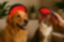 Pets-LED-Therapy---Bottom.jpg