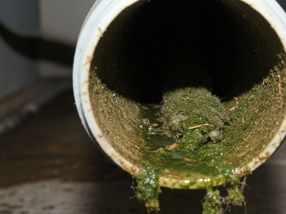 AC Drain Line Clogs