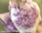 Elestial Amethyst