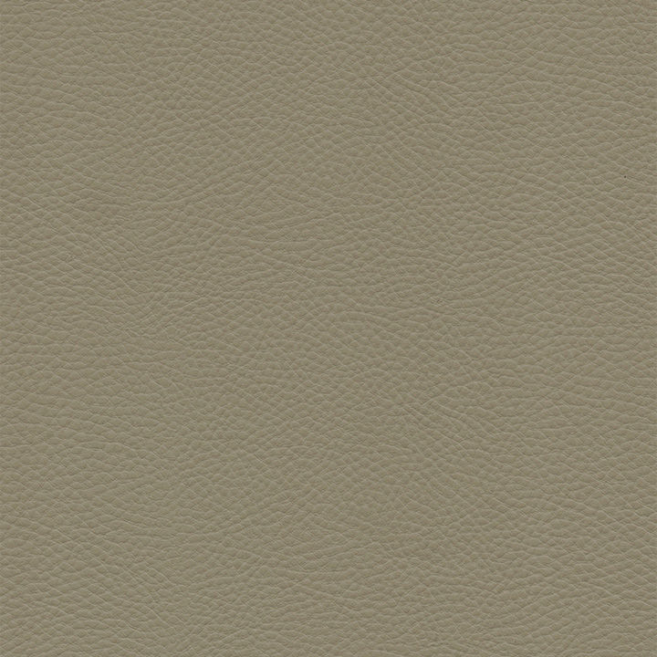 縮圖：KATAK19-膚感牛皮紋生態皮OMEGA-95A