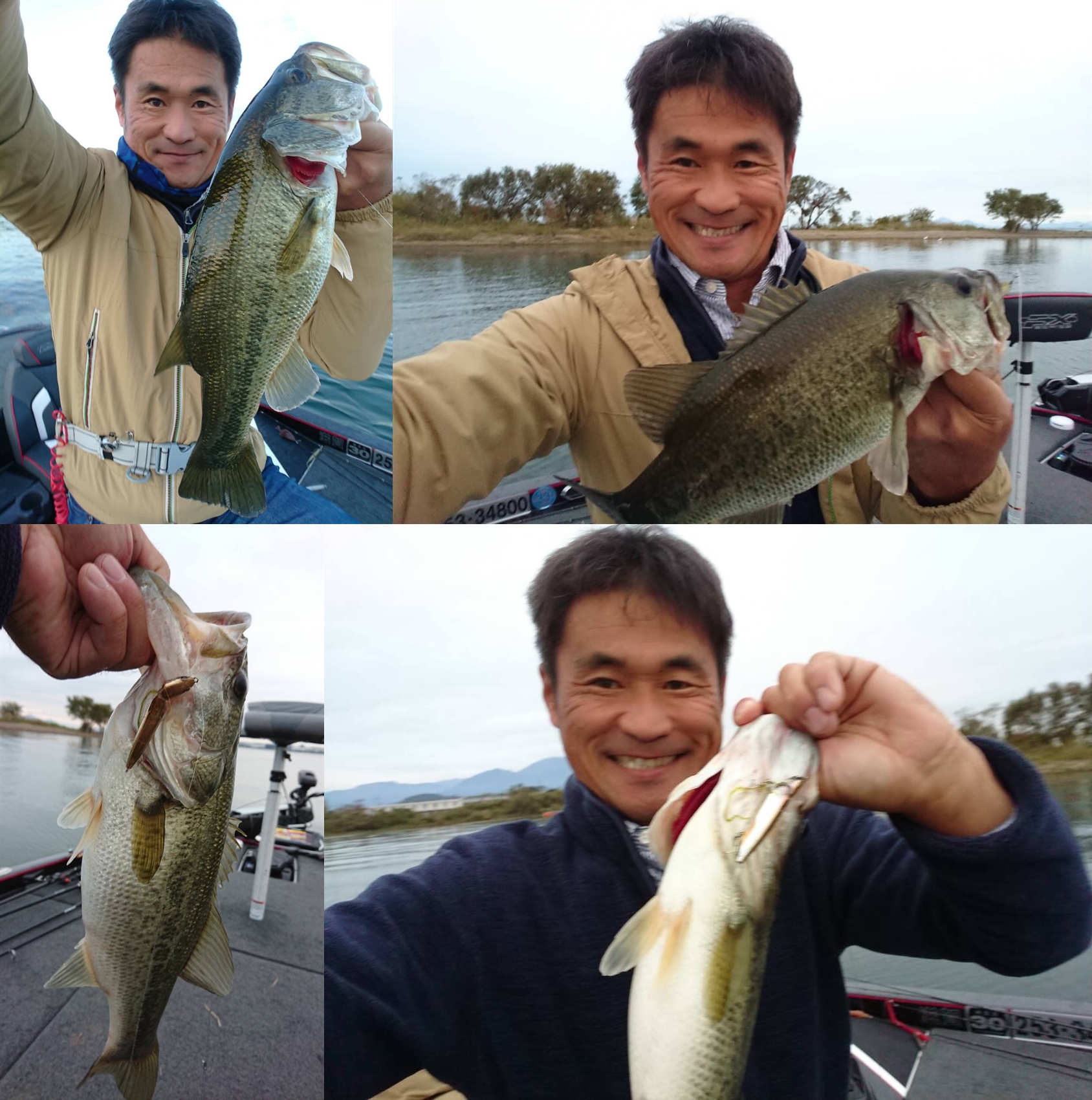 釣り友釣果