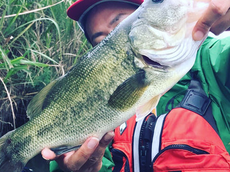 お盆に同級生の佐藤さんと釣り