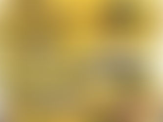 トップ党vol.20 師匠のインタビュー掲載！