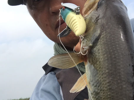 丸山さん、フィッシュ！