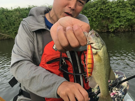 ライブ明け 釣り!