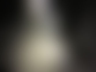 シーバスシーズン？