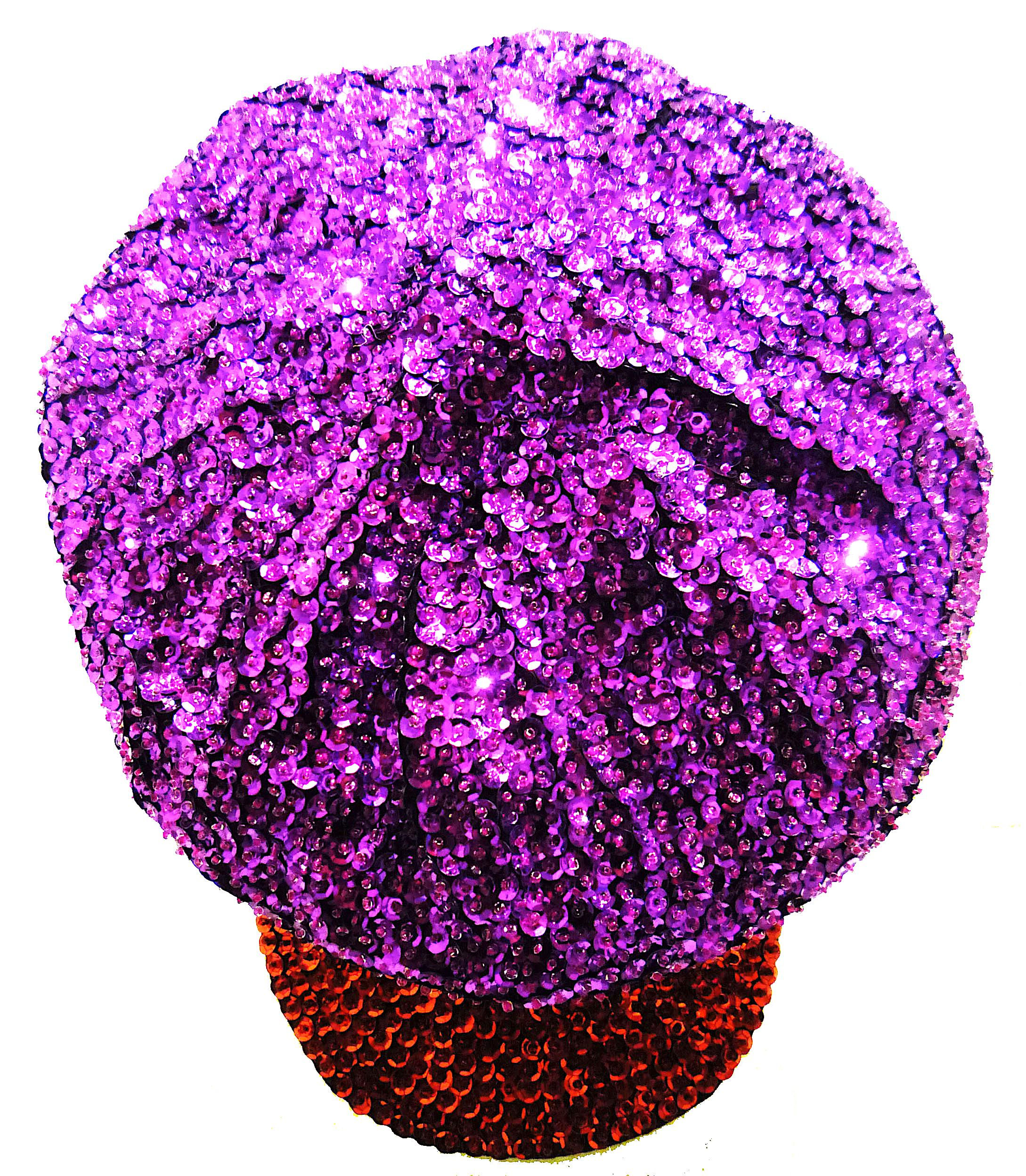 Sequin Brando Cap PURPLE w/RED BRIM