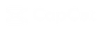 CAPCUT.png