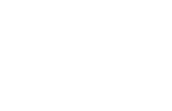 RC_Icon_WHITE.png