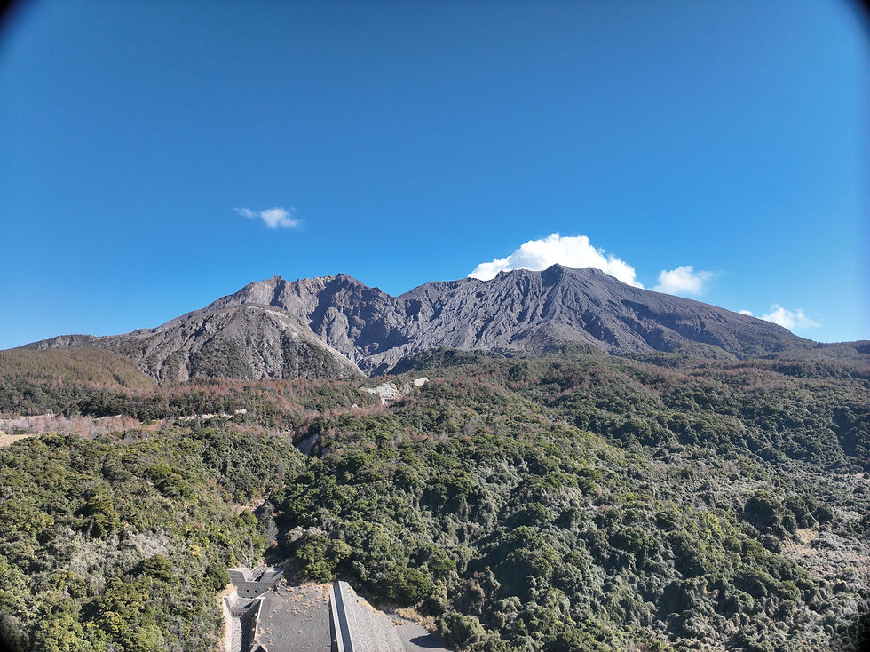 DJI_20260204110755_0001_V.JPG