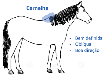 cernelha.png