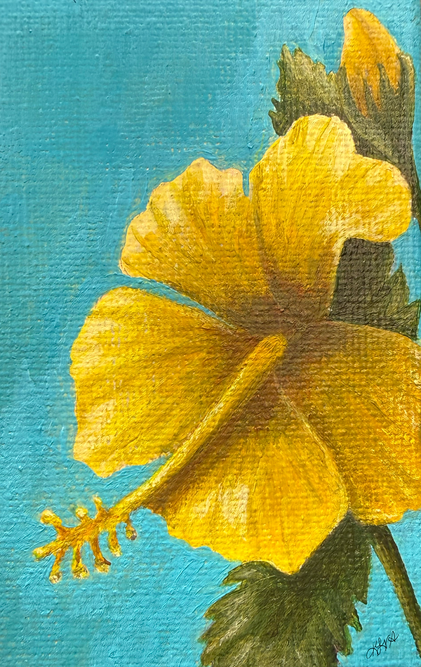 The Ma'o hau hele yellow hibiscus and state flower of Hawai'i, painted in acrylic by artist and author Kelly Valencia.