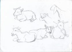 Scan_20240413 (8)