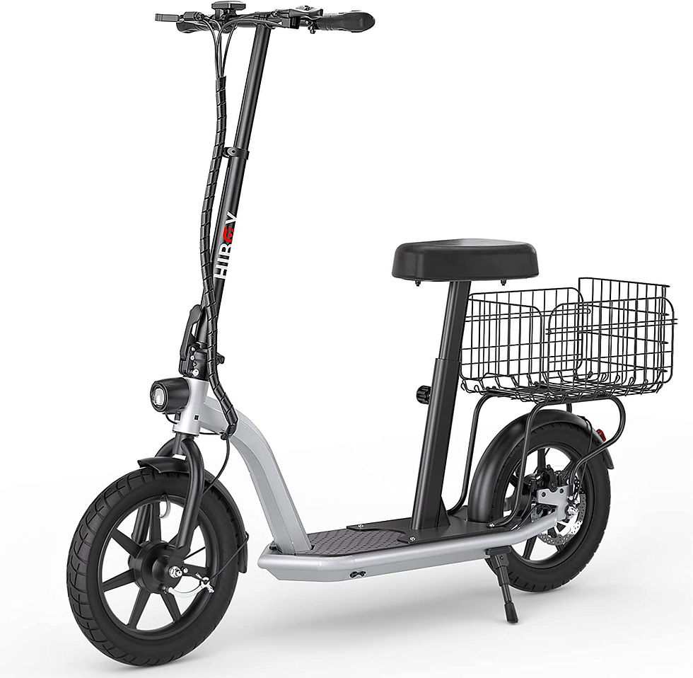 Electric Scooter