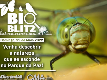 Bioblitz no Parque da Paz