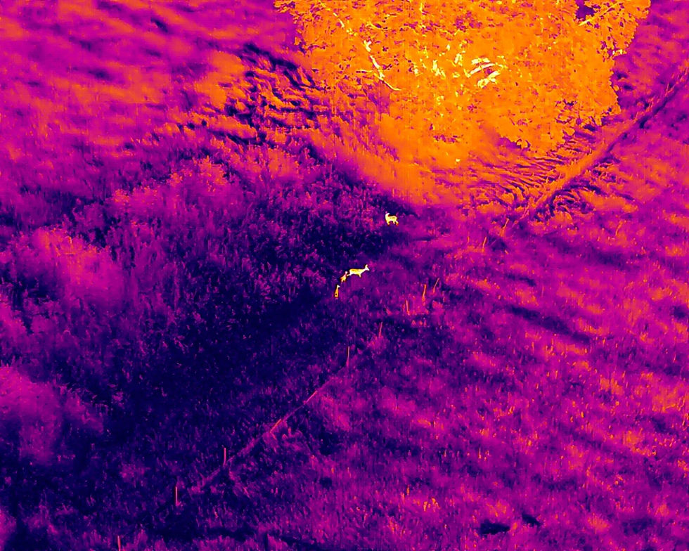 DJI_20250620222022_0007_T