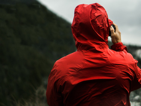 Fotografia de Natureza →