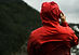 Nature Photographer