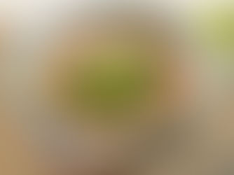 THƯỞNG THỨC PHỞ BÒ CHUẨN GỐC BẮC TẠI NGỌC SƯƠNG .