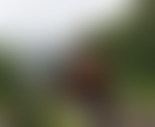 As polêmicas sobre a regulação de ferrovias no Brasil