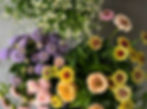 Bucket of Blooms