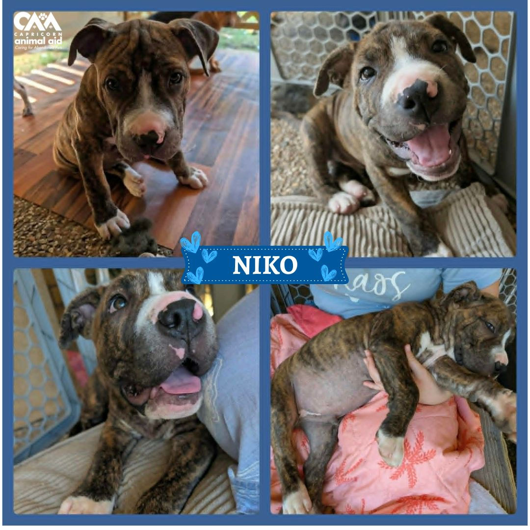 NIKO