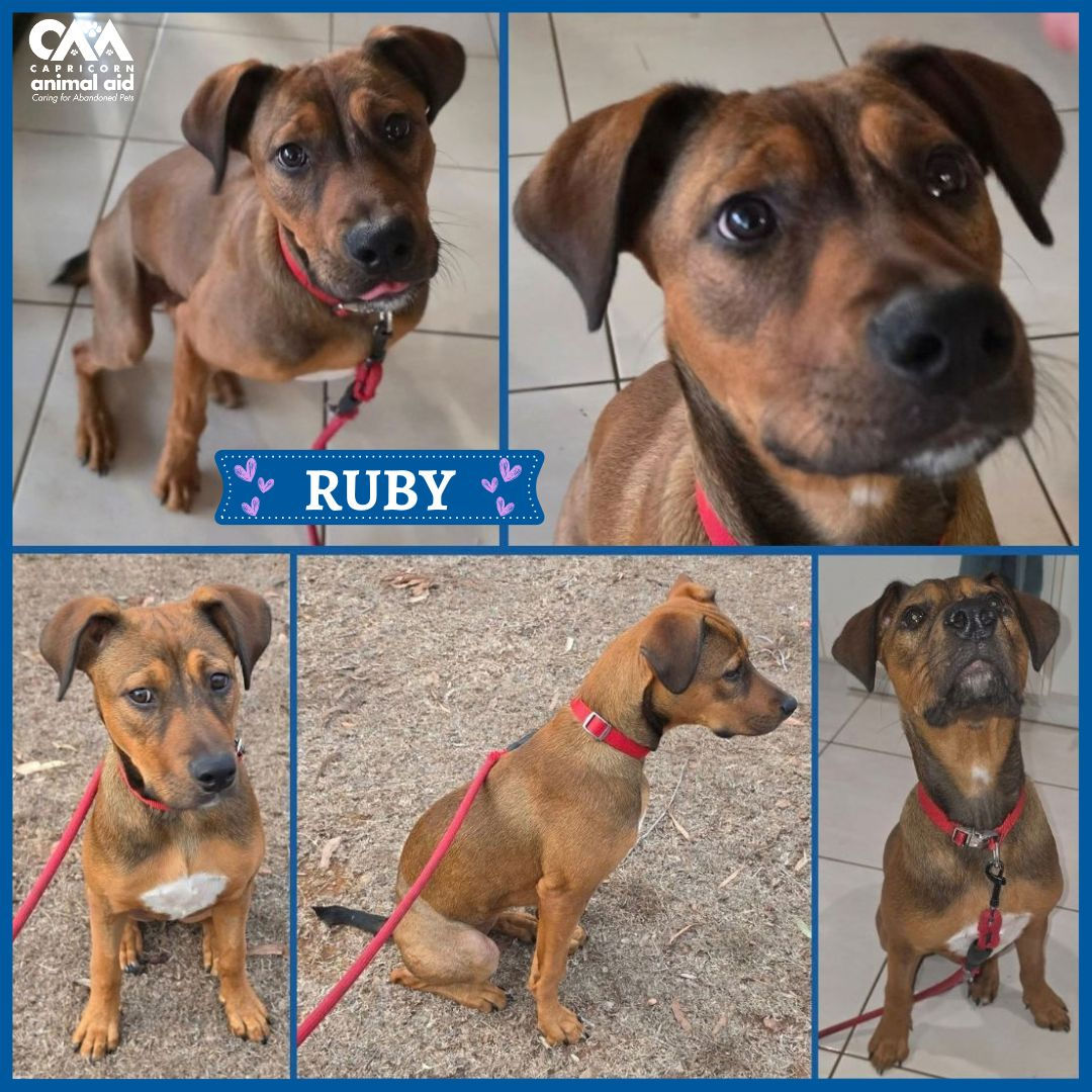 RUBY