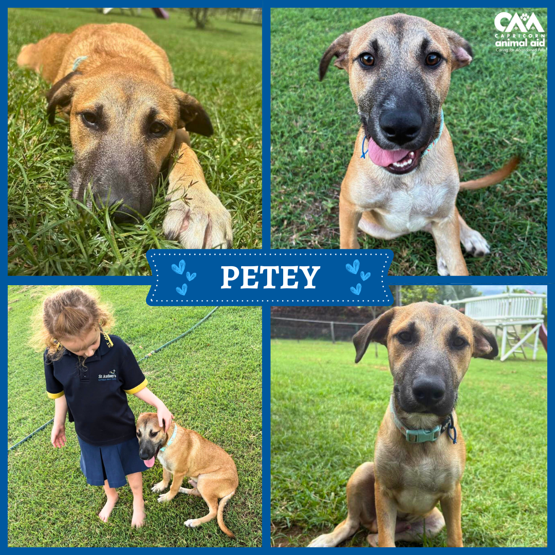PETEY
