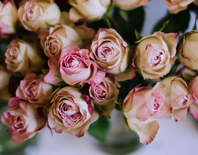 Shop The Rose Shed After all, we went through the trouble of collecting the best flower delivery companies in the uk on this site. shop the rose shed