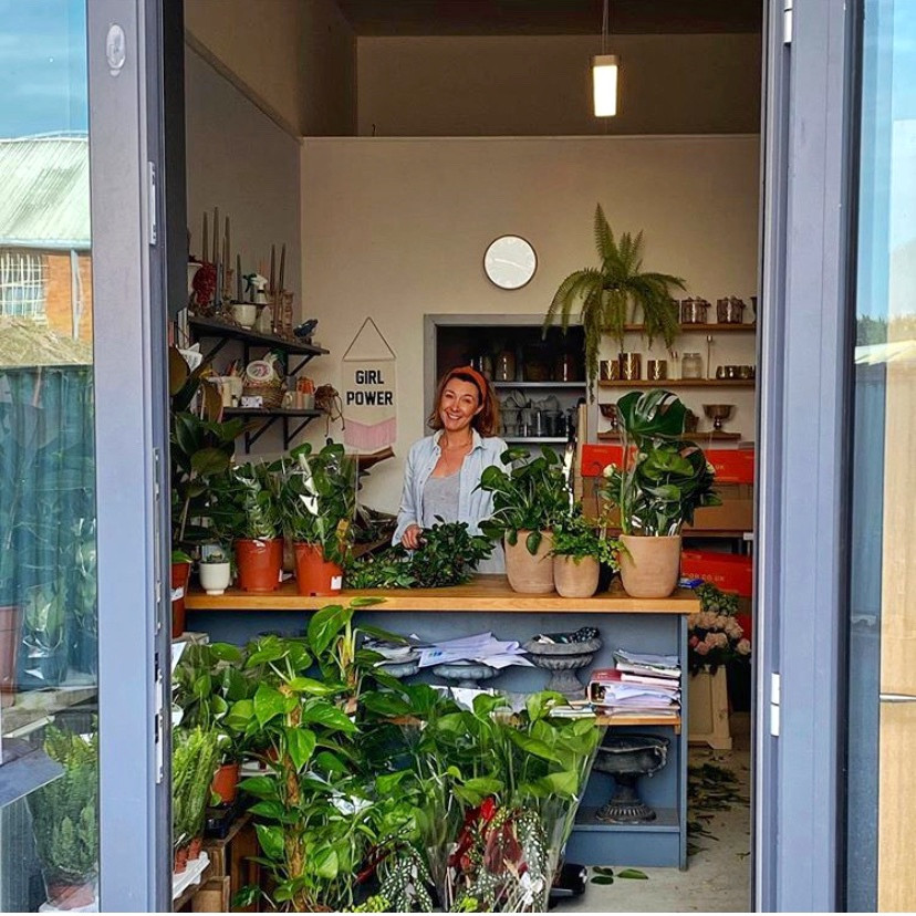 Devon houseplant shop