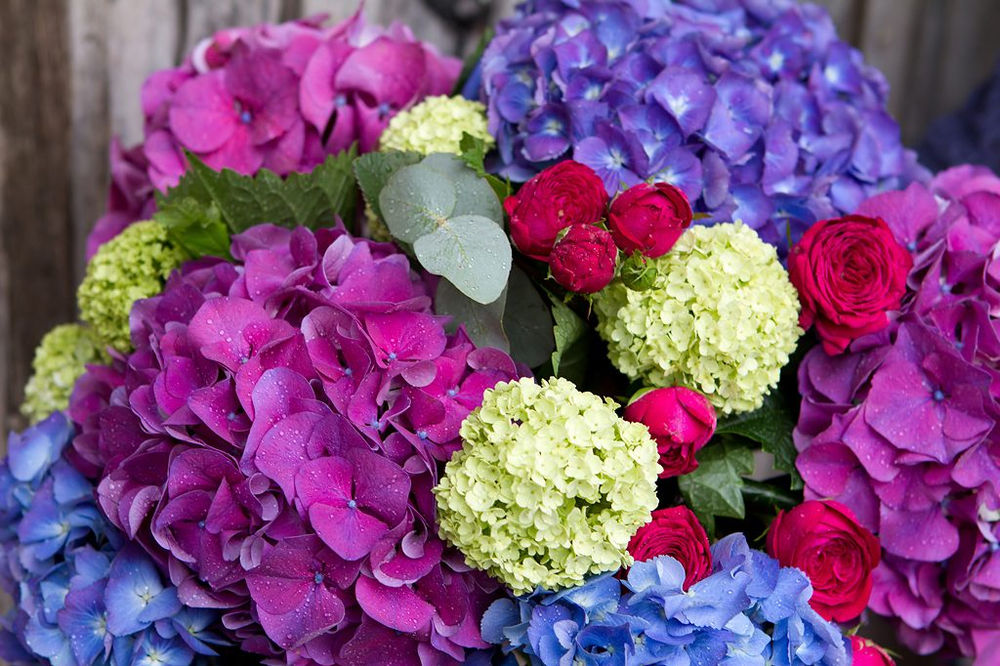 Seasonal Flowers September