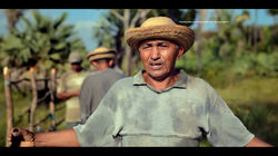 DEPOIMENTO 50 ANOS E CLIP PASSINHO 65