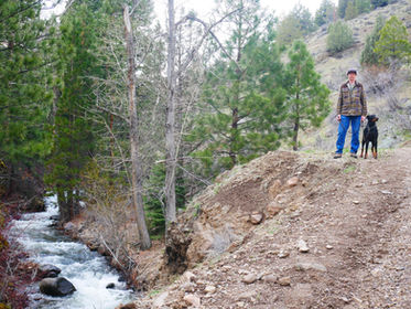 What Would Your Life be Like if You Lived without Fear?