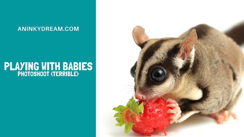 Playing With Babies: Terrible Photoshoot