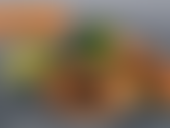 Dehydrating Papaya For My Gliders