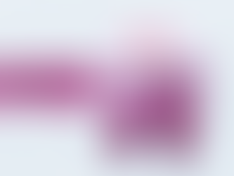 Upper Respiratory Infection in Sugar Gliders