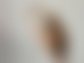 Spinal Alignment & Pelvic Placement