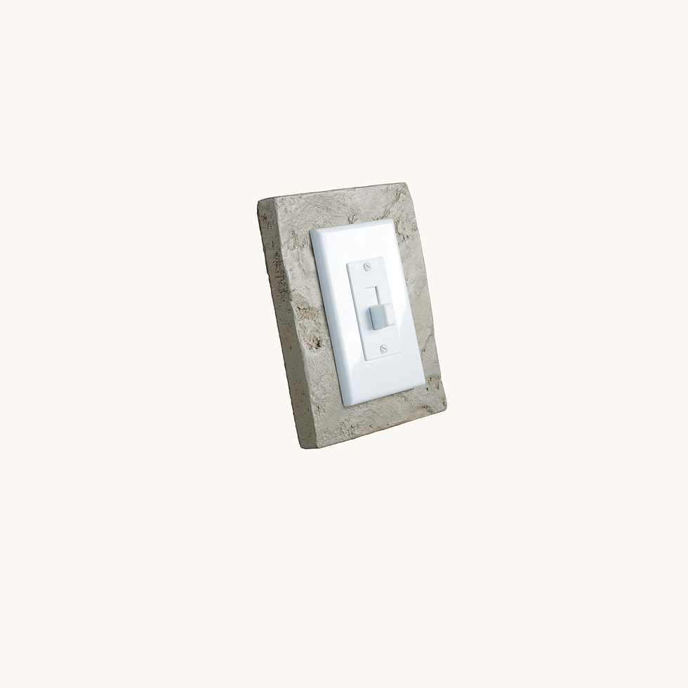 Outlet Switch Trim - Carrera